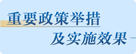 重要政策举措及实施效果