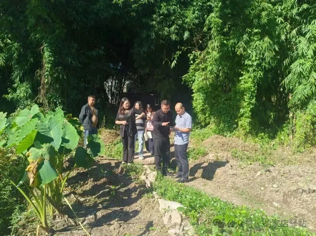 集益镇开展社区污水管网巡查工作