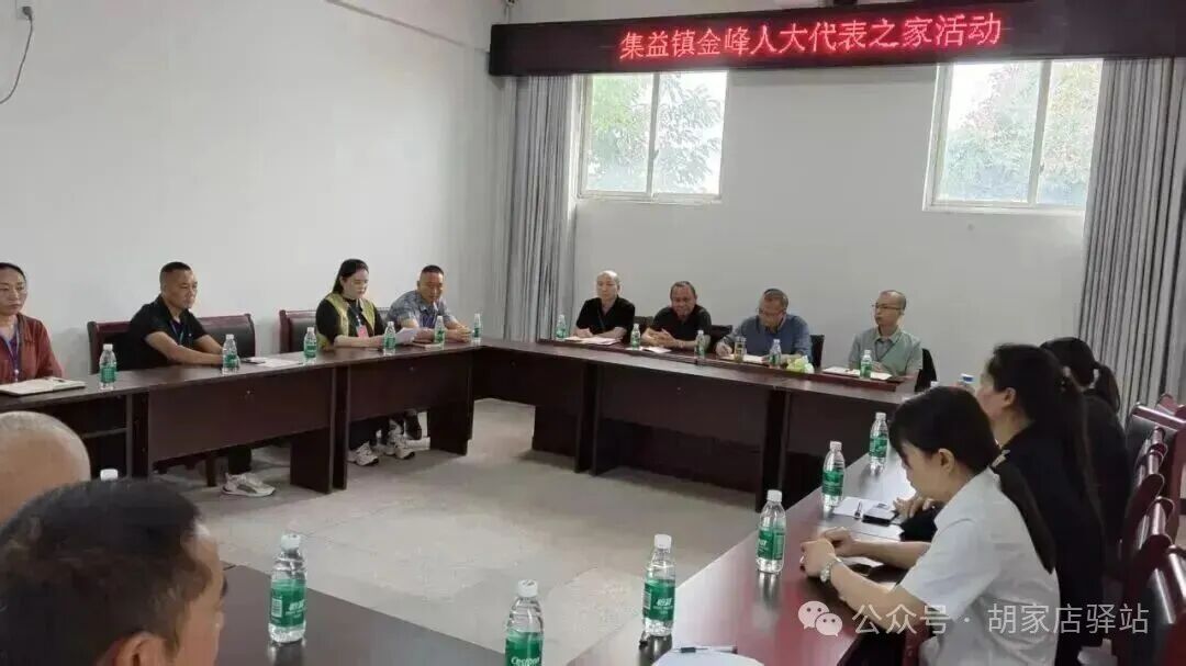 2025年9月29日集益镇开展金峰人大代表之家活动