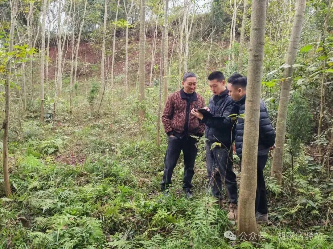 集益镇开展农村集体经济储备项目规划工作