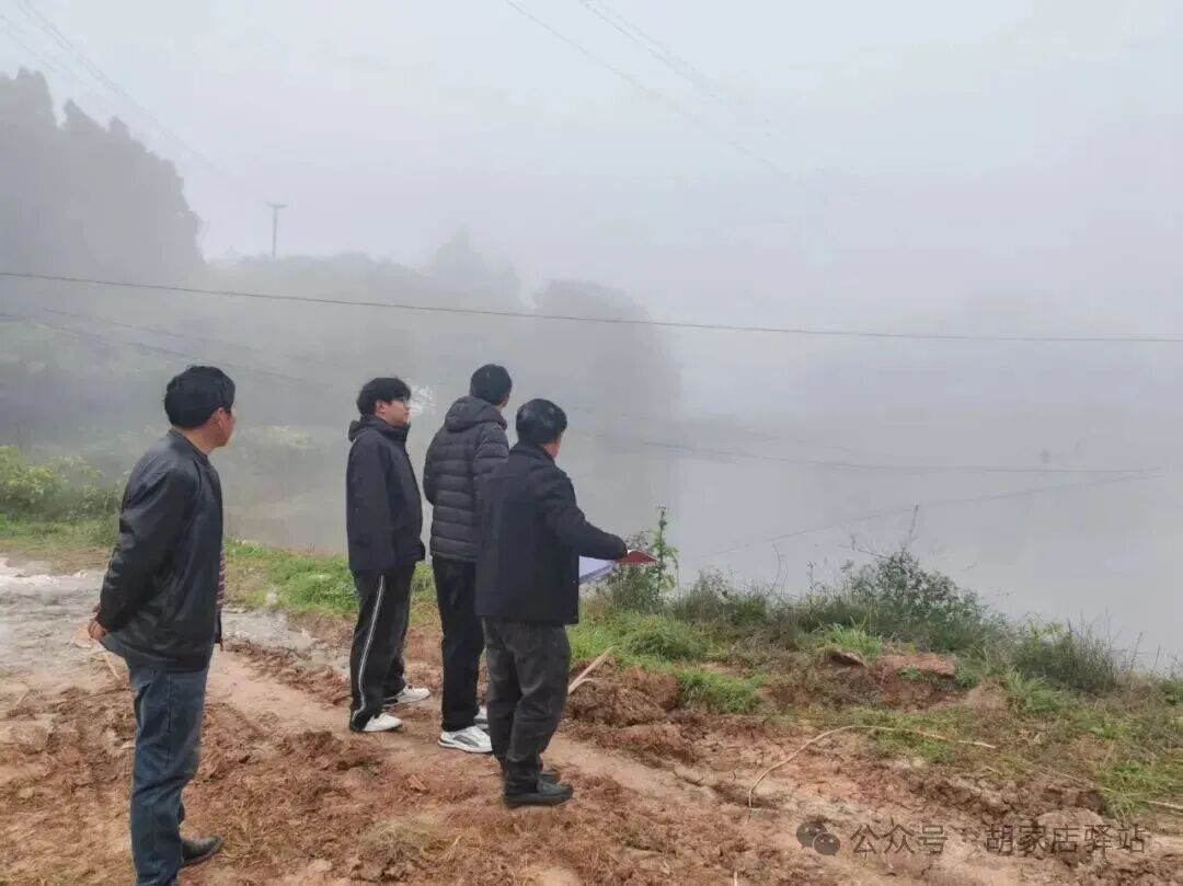 县农业农村局水产股来集益镇查看鱼塘水产养殖情况