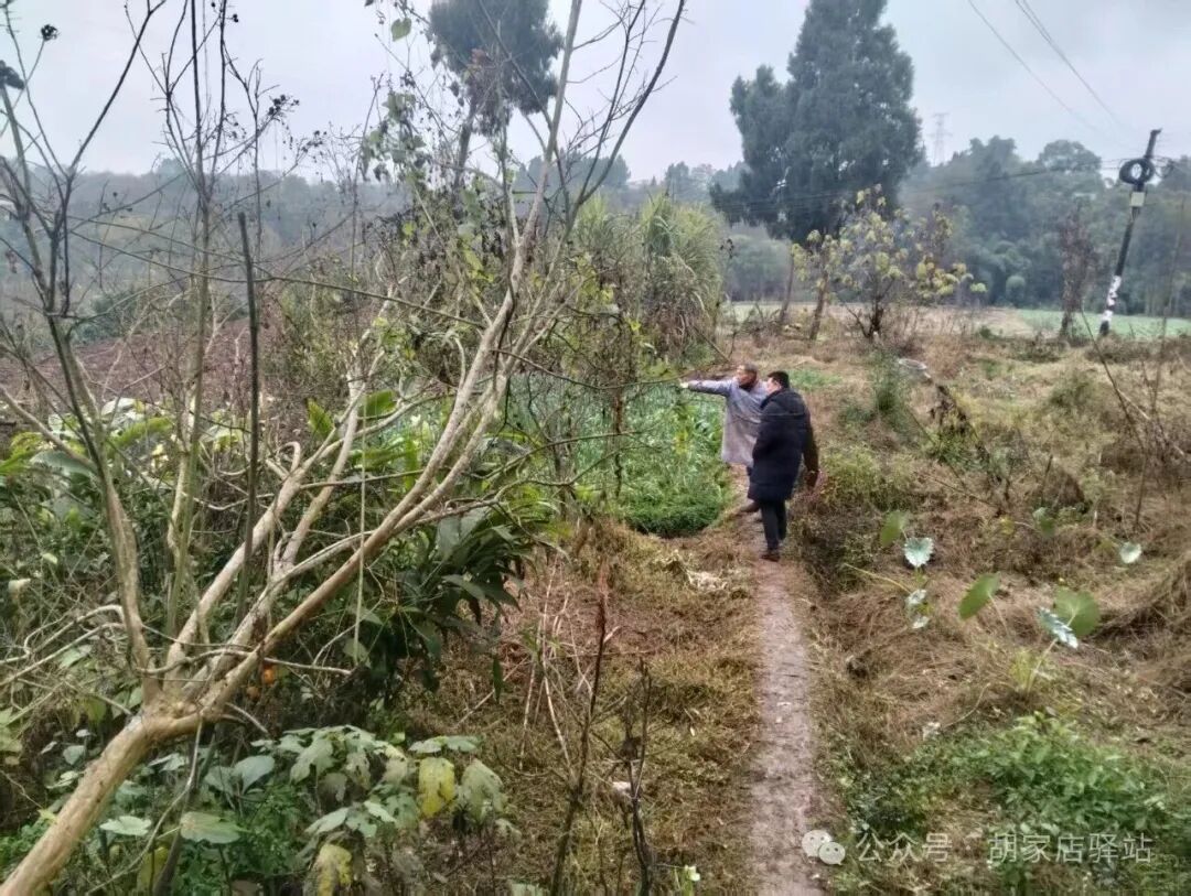 开展秸秆禁烧巡查工作3