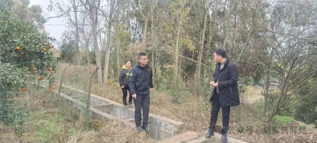 集益镇开展生产用水渠道巡查工作