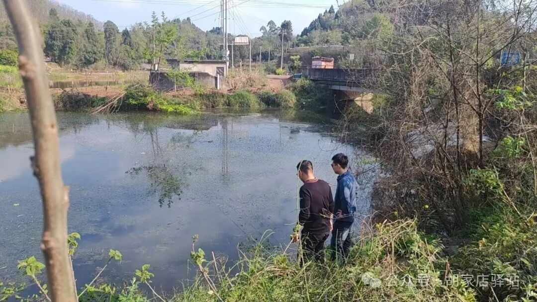 集益镇开展长江流域十年禁捕巡查工作