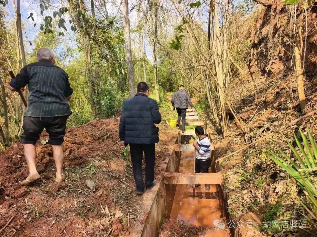 集益镇开展春耕放水工作1