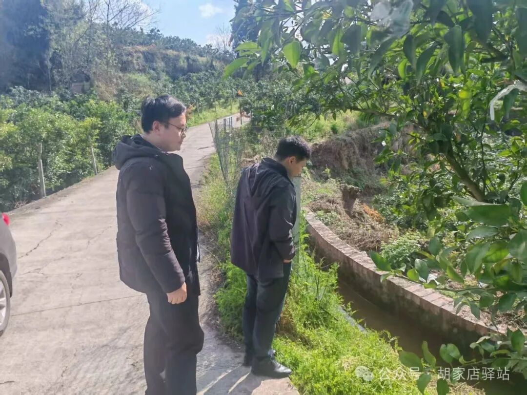 集益镇查看都管处水渠放水情况