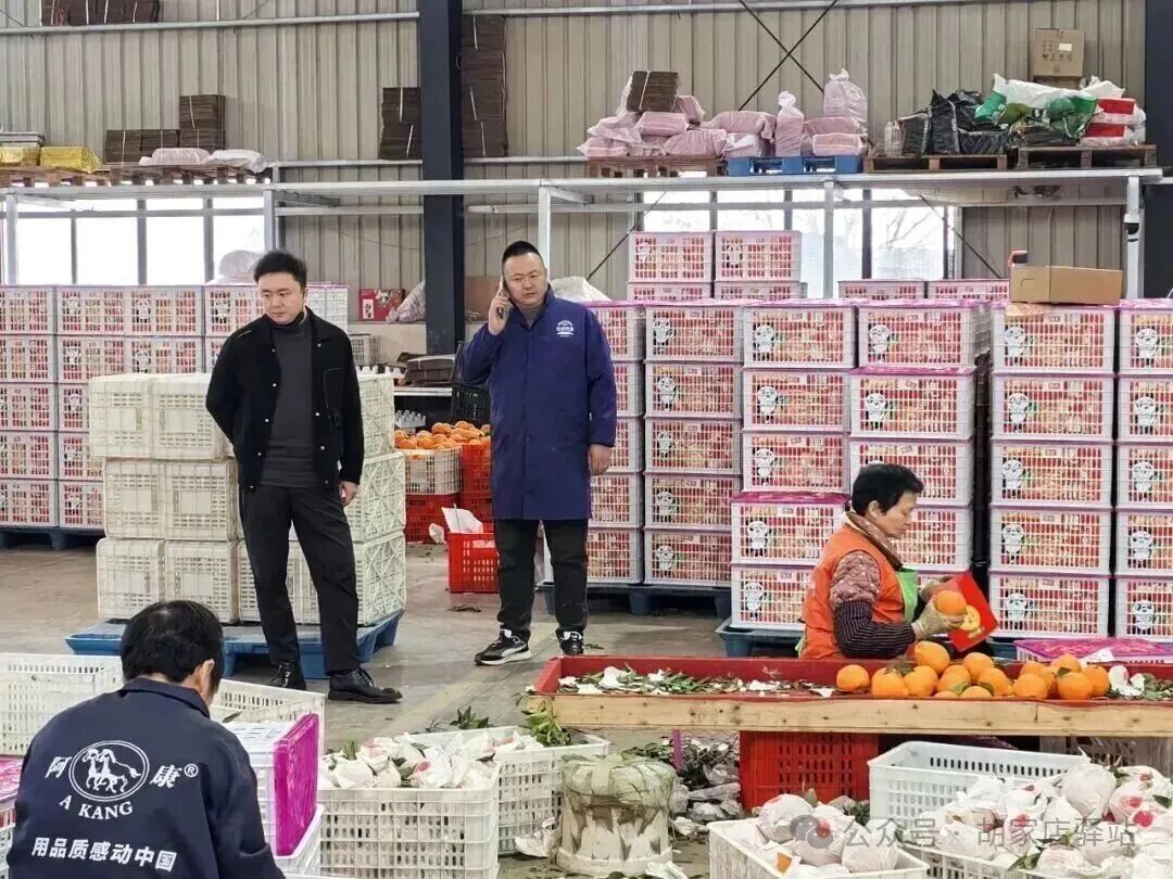 集益镇调研集体经济运营情况