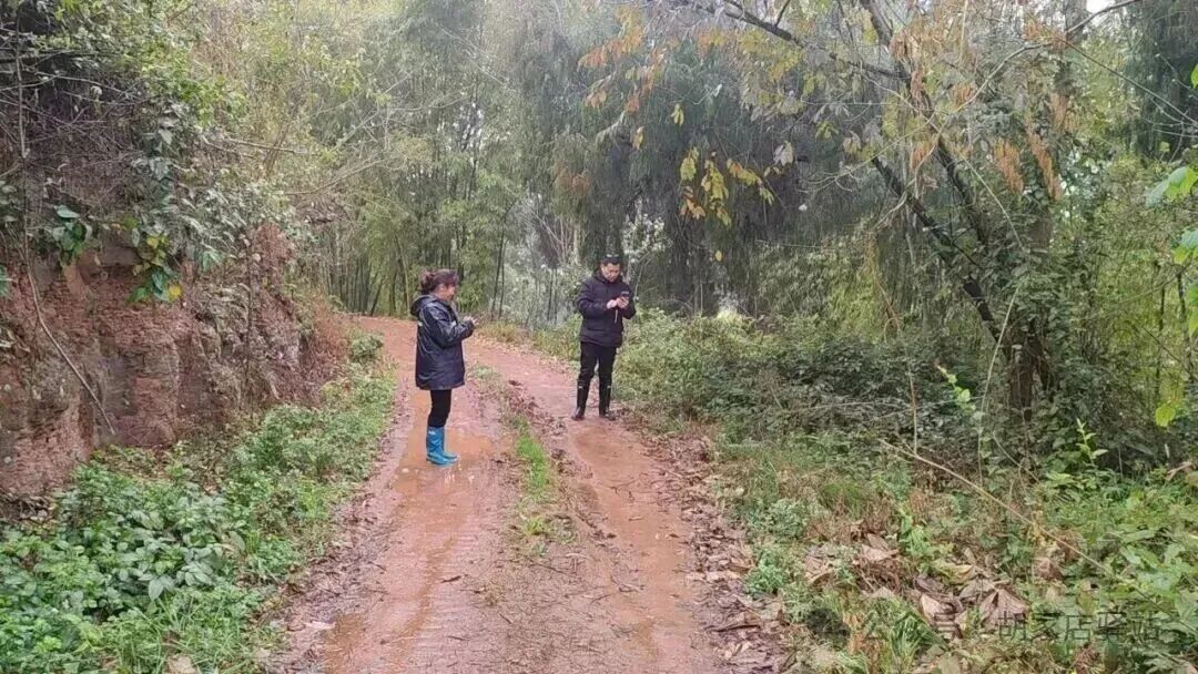 集益镇开展林地图斑核查工作